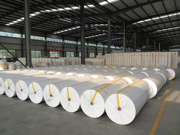 海南狭缝式涤纶纺粘无纺布